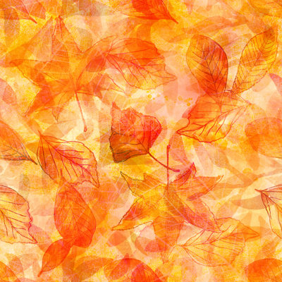 " Maple Leaves " by Plateresca
