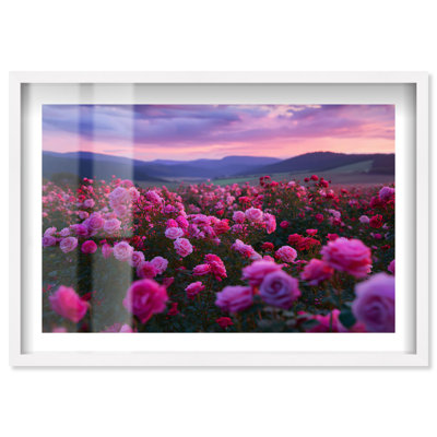 «Sea of Roses III Shadowbox Print Sunset» par Notoriart, cadre blanc, 55 x 37