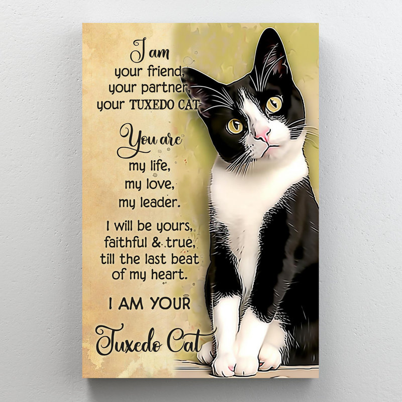 Impression sur toile Elishia I Am Your Tuxedo Cat 1 sur toile, H 36 po x l 24 po x P 1,25 po
