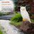 28"H Owl on Tree Trunk Garden Statue