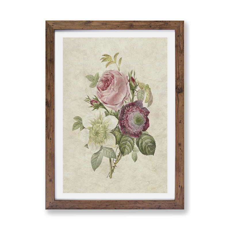 Pink Anemone Rose by Pierre-Joseph Redoute - Framed Print, 24cm H x 33cm W x 2cm D, Walnut
