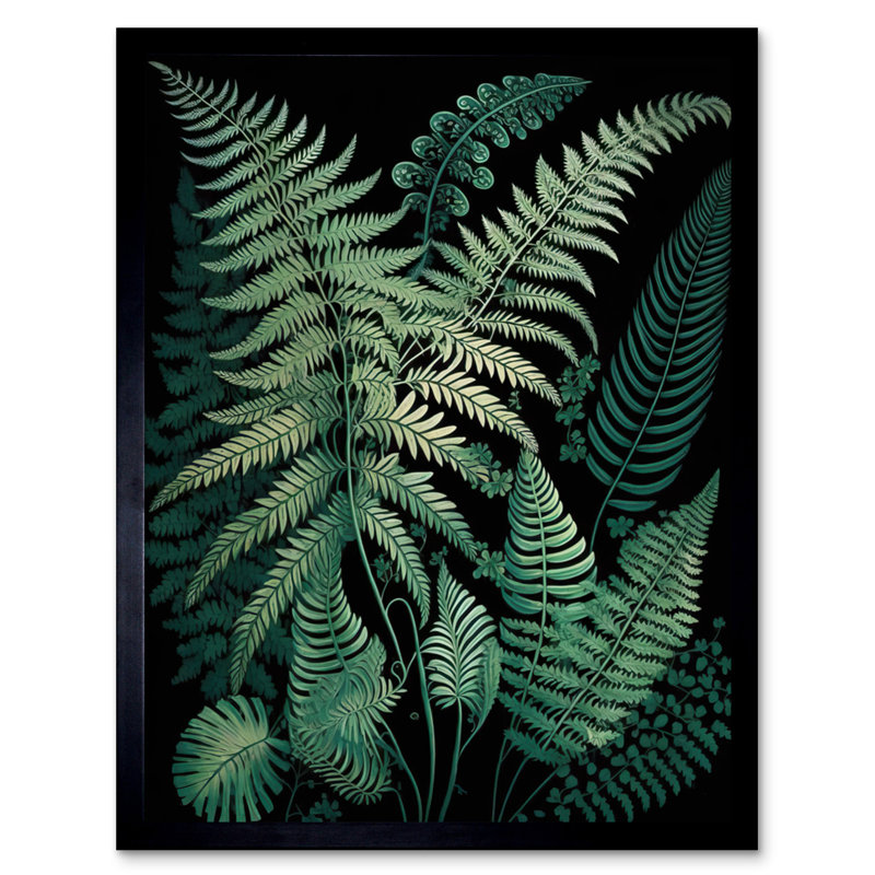 Ernst Haeckel Style Fern Fronds Botanical Detailed - Single Picture Frame Print