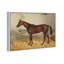 «Mettalist Farm Animals» par Emil Adam - peinture sur toile-61799138-61799134
