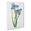 Blue Iris Flowers - Wrapped Canvas Painting-55304099