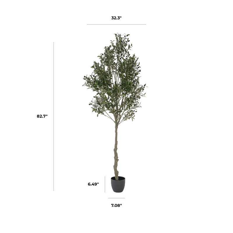 Olive, 82,7 po