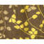 Hand Knotted Area Rug in Brown