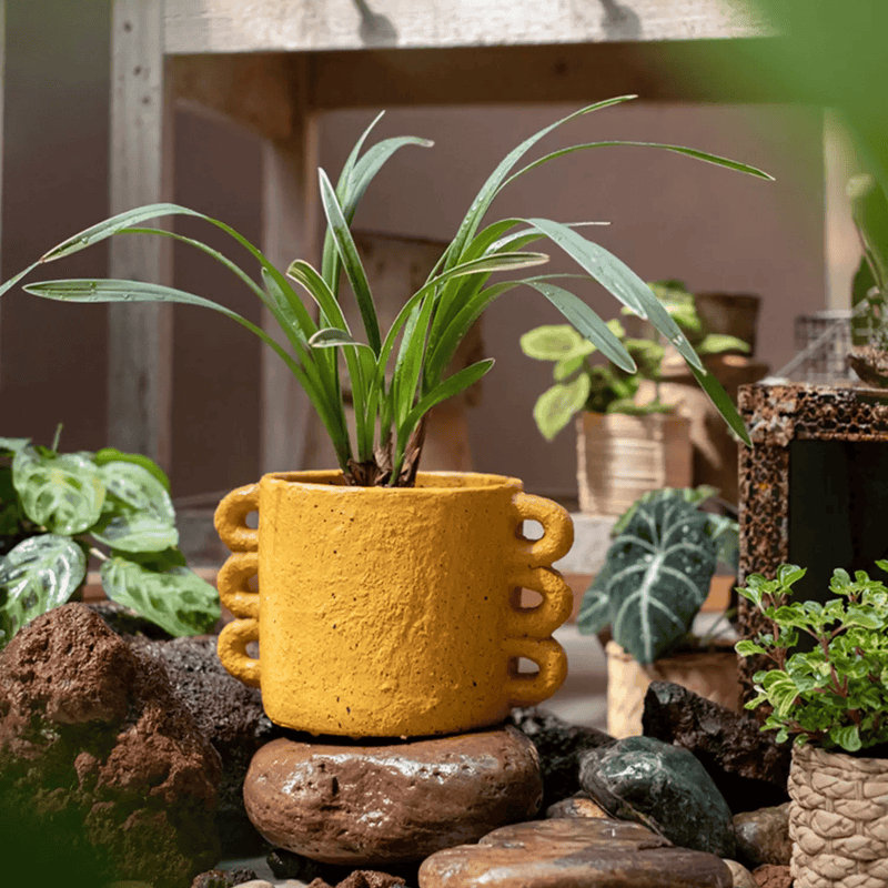 Jardinière en ciment Artisan