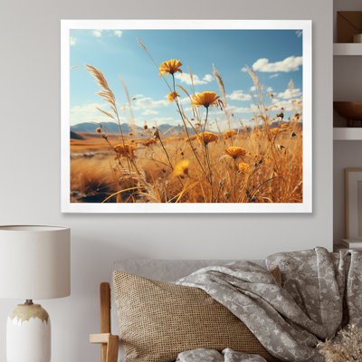 Coucher de soleil, fleurs d'été, prés