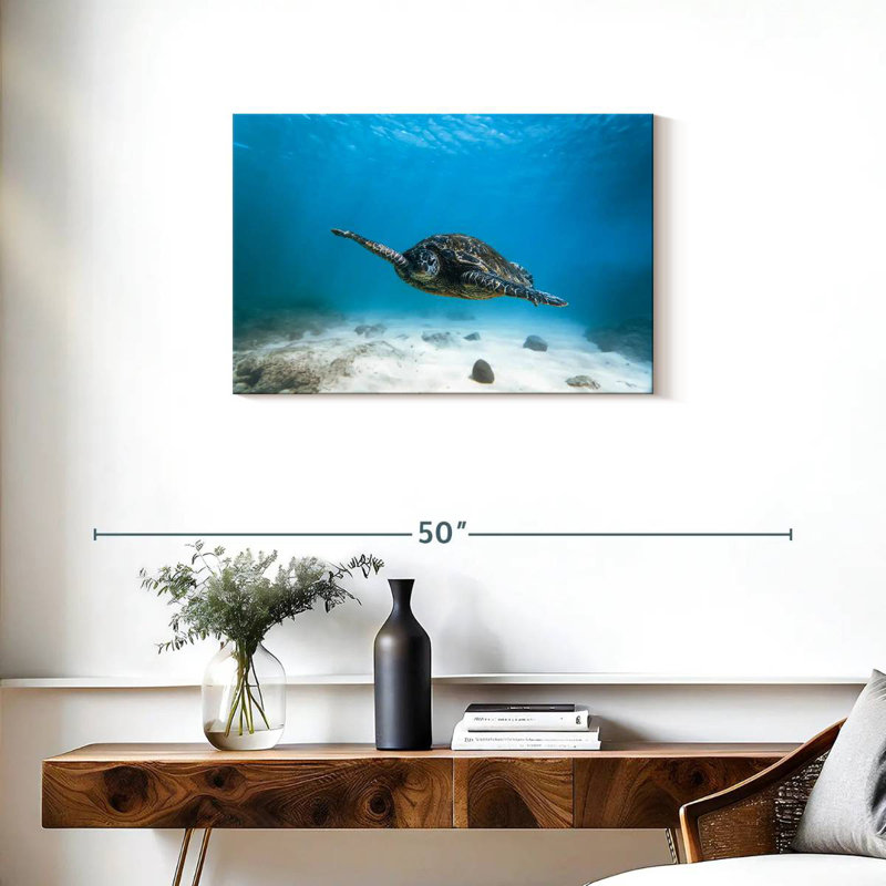 Tortue bleue Brampt, H 20 po x l 30 po