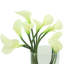 Calla Lilies In Glass Vase