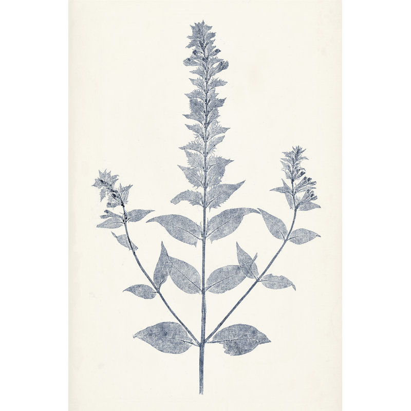 Marine Botanicals VII, H 48 po x l 32 po