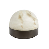 Lucid Metal Novelty Lamp