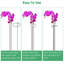 10Pcs Support de plante Stakes Garden Flower