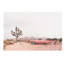 «In the Desert», photographie-43719387-43719388