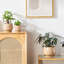 Ceramic Pot Planter-534234031-534234028