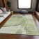 Premium Machine Washable Prisco Aloe Rug