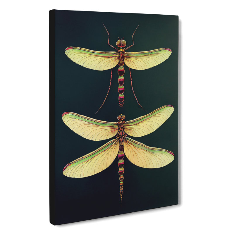 Desirable Dragonflies - Wrapped Canvas, 60cm H x 40cm W x 3cm D