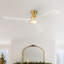 Karlena 52'' Dimmable Ceiling Fan with Lights and Remote Control 3CCT Reversible DC Motor Timer Memory-1157381599