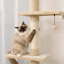 Tour pour chat interactive à 5 niveaux réglable sur pied