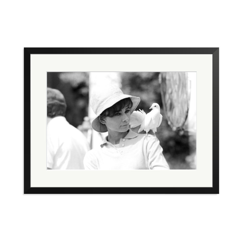 Audrey Hepburn with a Dove, 23" H x 31" W, Black