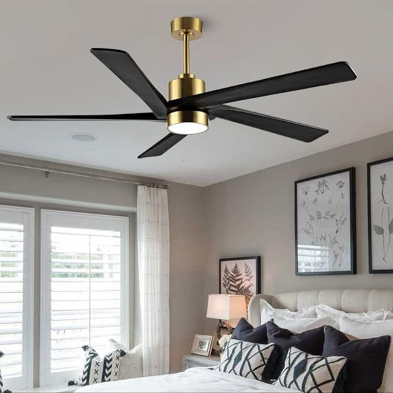 Sheran 72'' Ceiling Fan with LED Lights, Gold with Black Blades