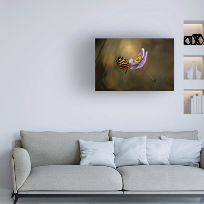 Heather Bonadio Lightness Of Being Canvas Art