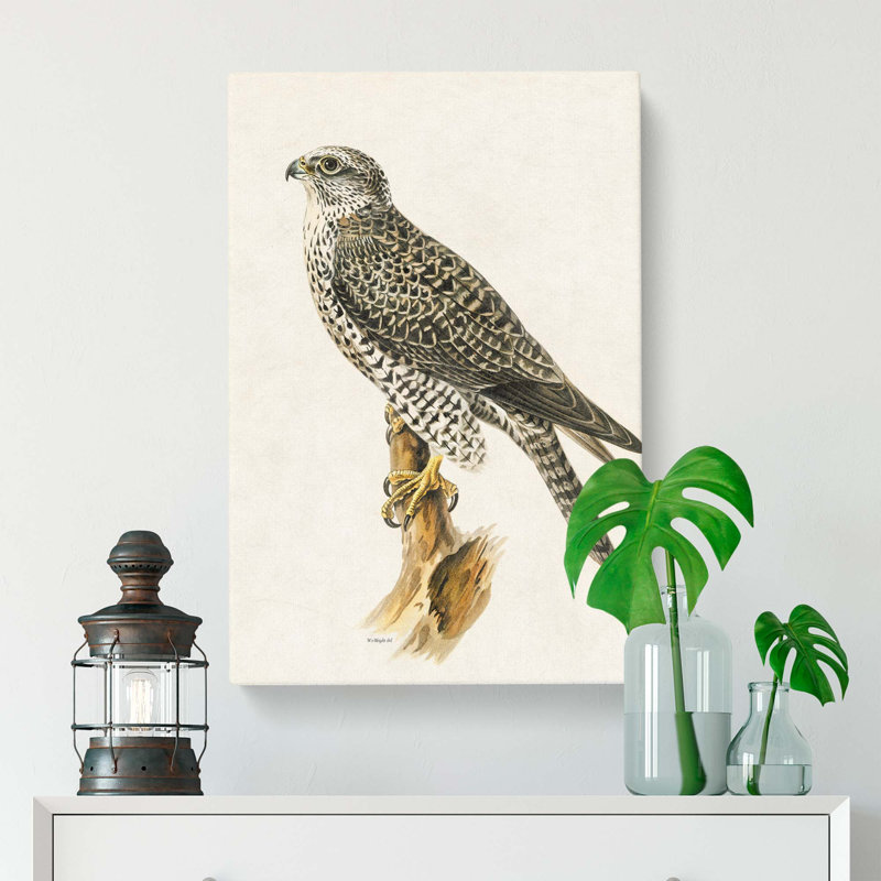 Gyrfalcon by Von Wright - Wrapped Canvas, 91cm H x 60cm W x 3cm D
