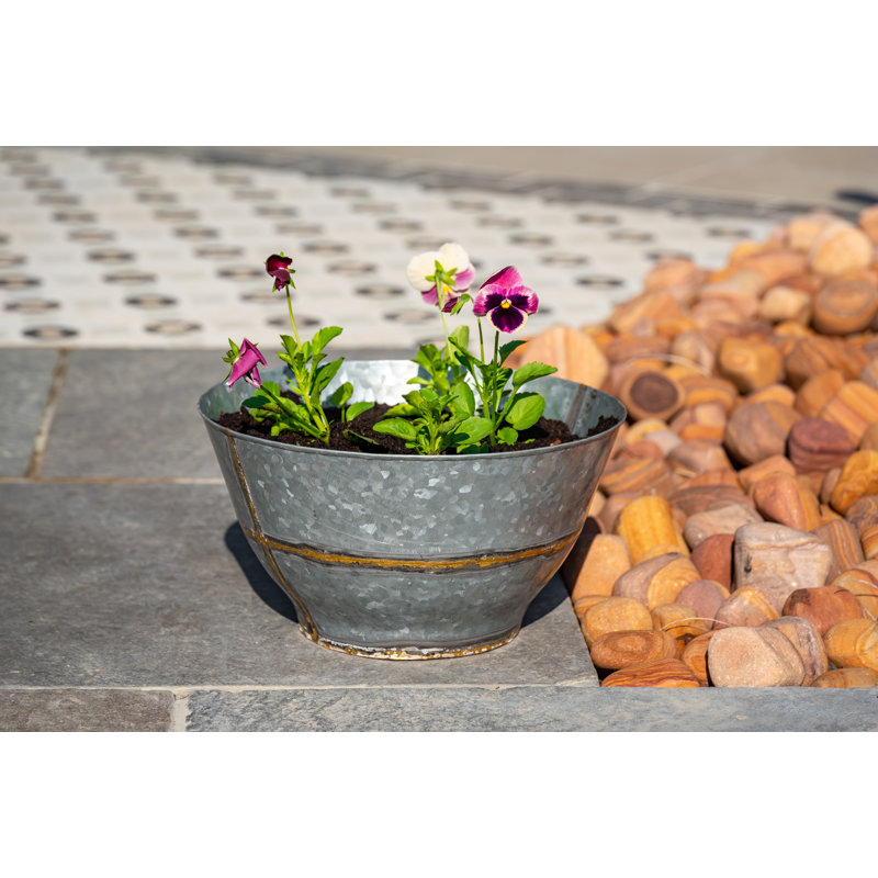 Eickhoff Metal Pot Planter, 18cm H x 32.5cm W x 32.5cm D