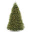 The Holiday Aisle® Dunhill Fir Tree with PowerConnect and Clear Lights-813097767