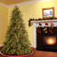 The Holiday Aisle® Tiffany Fir Tree with Clear Lights-1230861642