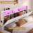 Dontrail Upholstered Sleigh Bed with Shelves-396156592-396156588