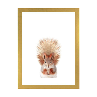 " Baby Squirrel " Graphic Art Print