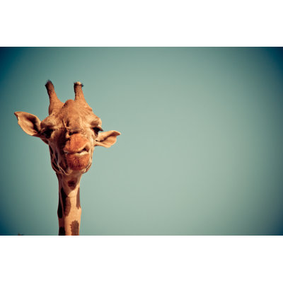 Funny Giraffe - Wrapped Canvas Print
