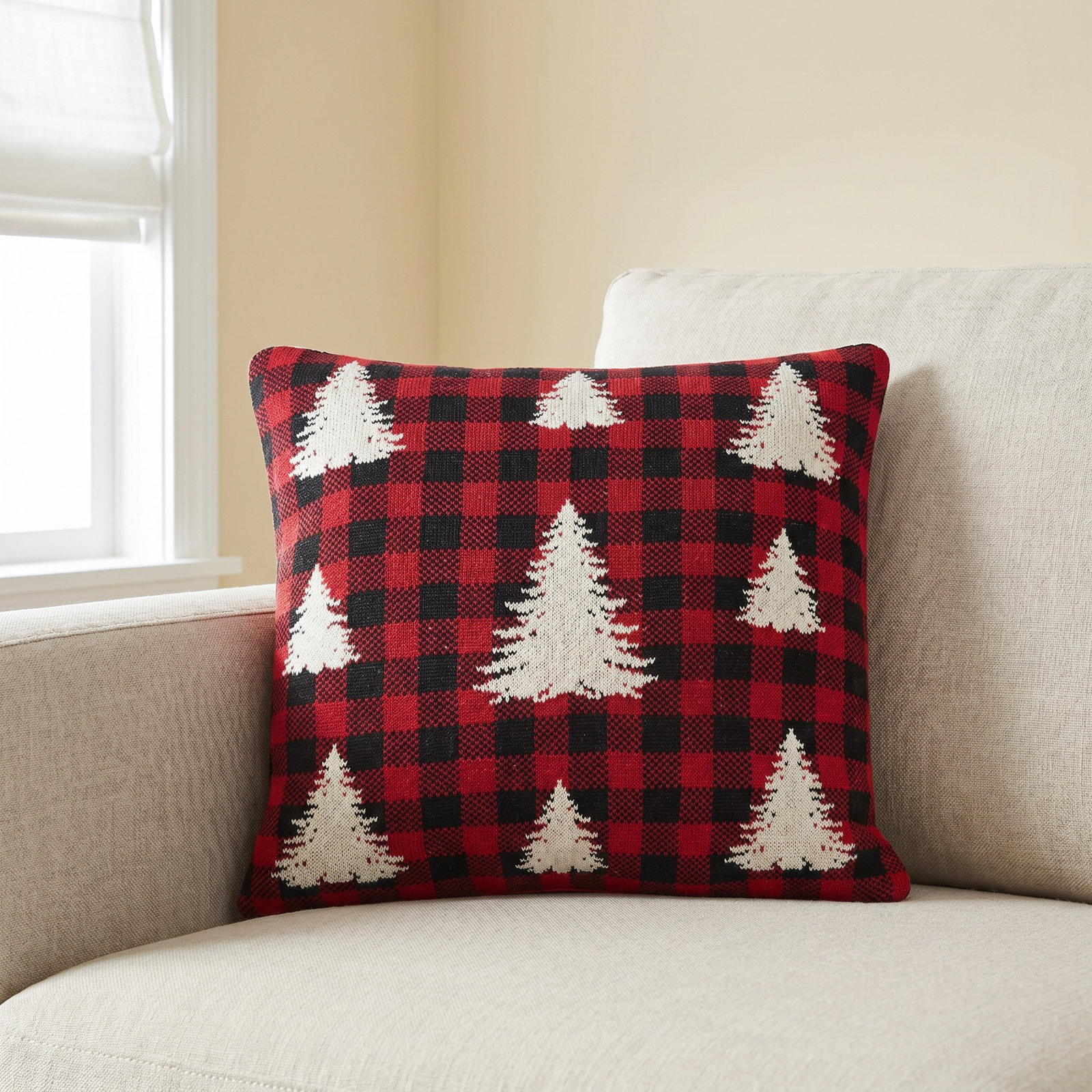 20" x 20" Throw Pillow