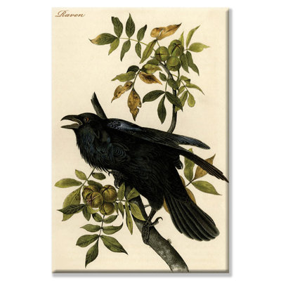 Raven, impression sur toile tendue