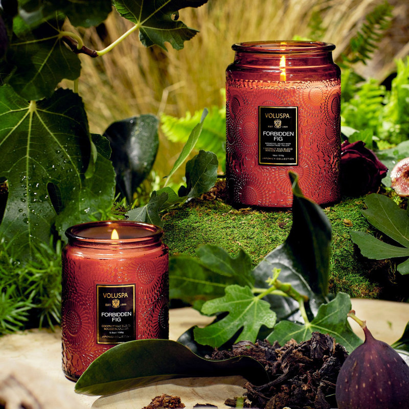 Forbidden Fig Large Jar Candle