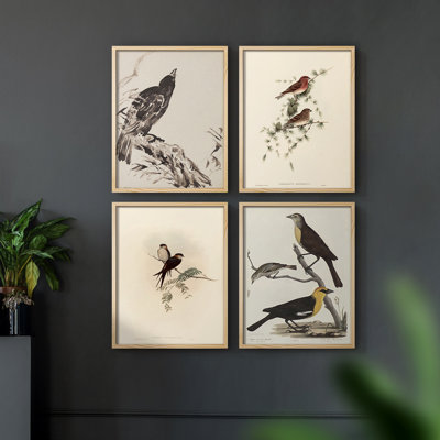 «Vintage Animal Print», 4 pièces sur papier