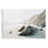 Au-448-Giclée sur la plage rocheuse par Krista Broadway