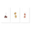 «Fruits In Pastel Colors I», ensemble de 3 peintures sur toile tendue-140830302