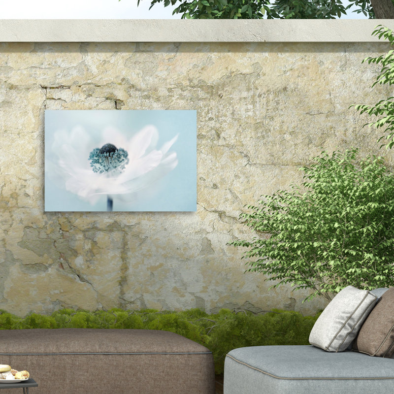 «Candy Floss On Canvas» par Jacky Parker, reproduction, H 12 po x l 19 po