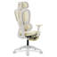 Fauteuil de bureau ergonomique Ouida-618170210-617946371