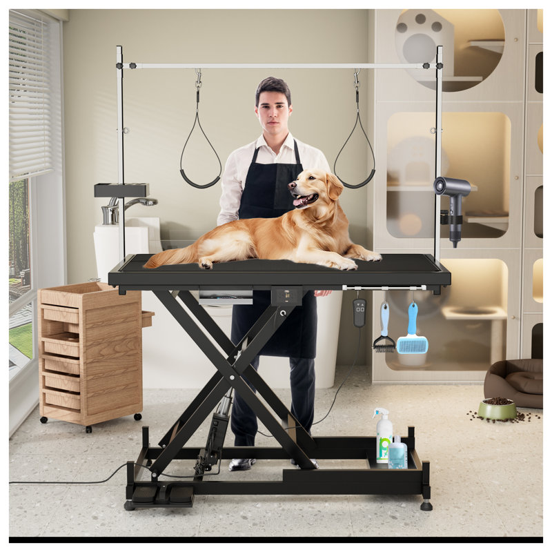 Table de toilettage professionnelle pour chien avec hauteur réglable et accoudoirs doubles - Élévateur hydraulique robuste pour grands animaux de compagnie