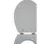 Clarimond Elongated Standard Toilet Seat-1957822898