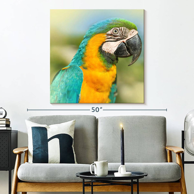 Brampt Parrot, 33" H x 33" W