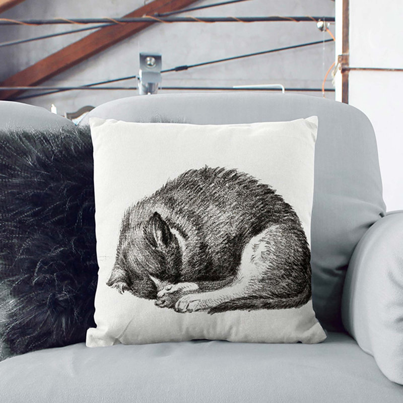 Curled Cat Square Throw Cushion, 40cm H x 40cm W x 15cm D