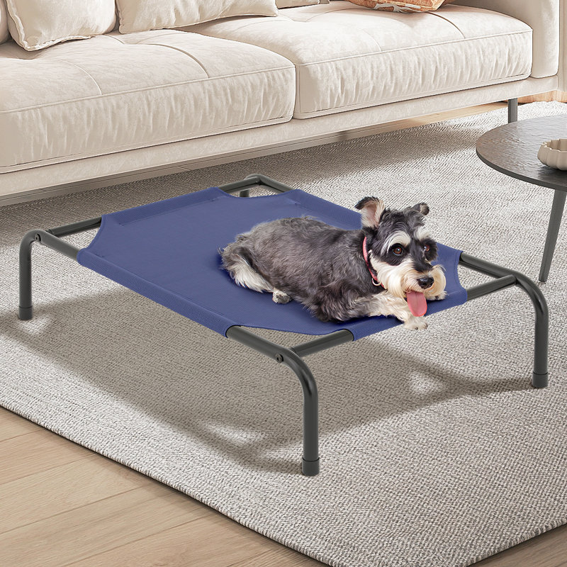 Small Navy Blue Elevated Outdoor Dog Bed with Steel Frame