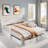 Elegant Extendable Daybed With Two Storage Drawers And Twin Size Trundle-1872653735