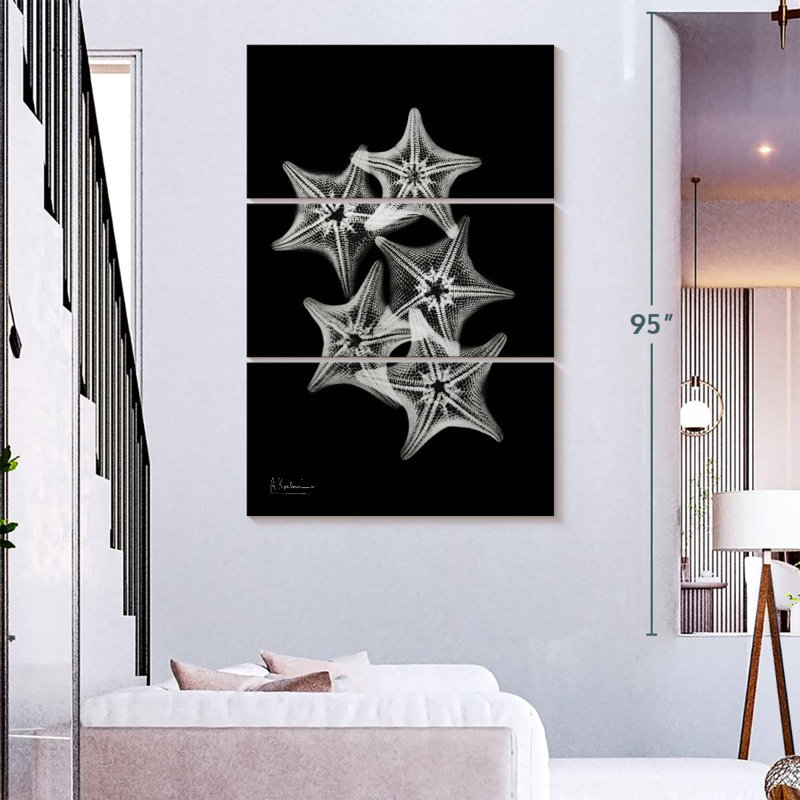Brampt Starfish Collage, 74" H x 48" W