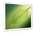 White Single Picture Framed