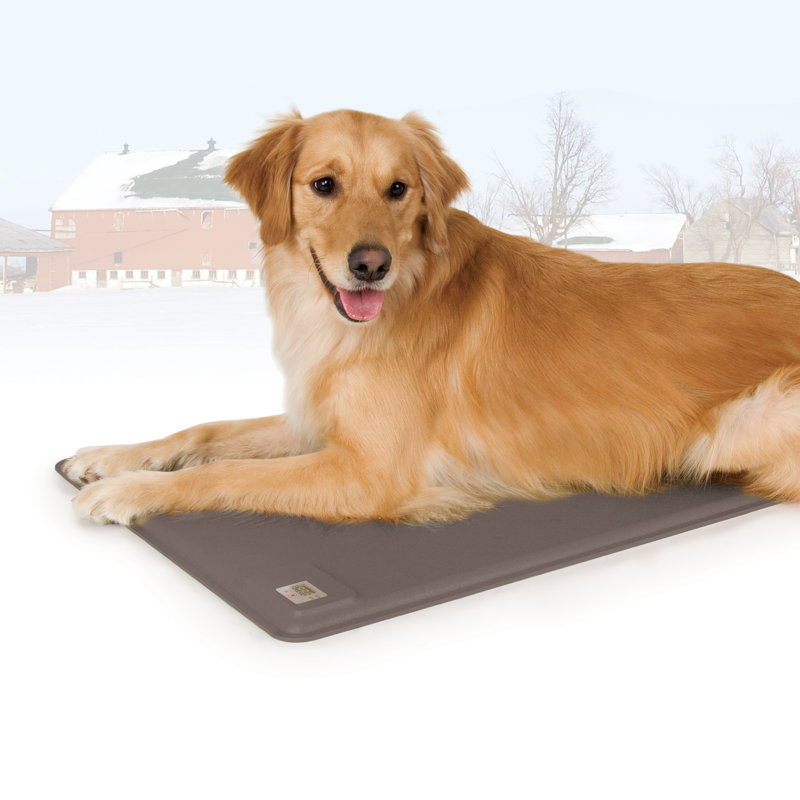 Tapis / coussin Deluxe Lectro-Kennel, Petit (l 12,5 po x P 18,5 po x H 0,5 po)